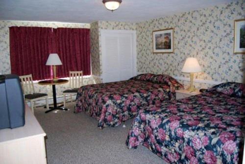 Oxen Yoke Motel North Conway Chambre photo