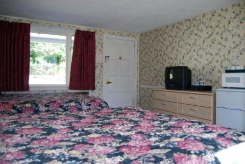 Oxen Yoke Motel North Conway Chambre photo