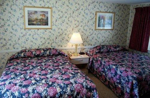 Oxen Yoke Motel North Conway Chambre photo